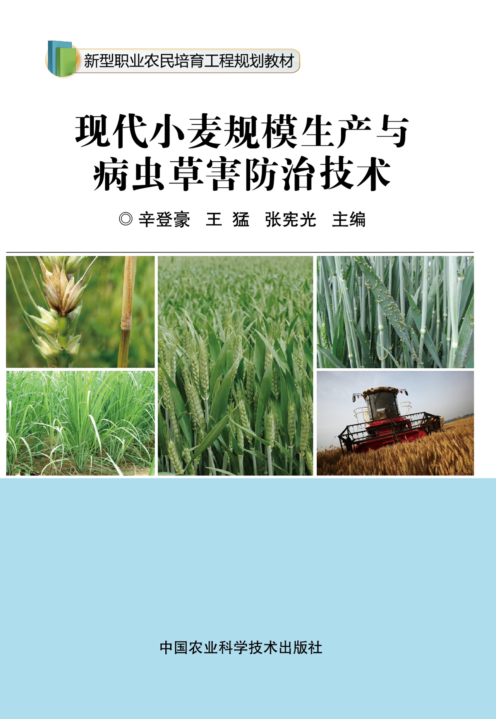 现代小麦规模生产与病虫草害防治技术