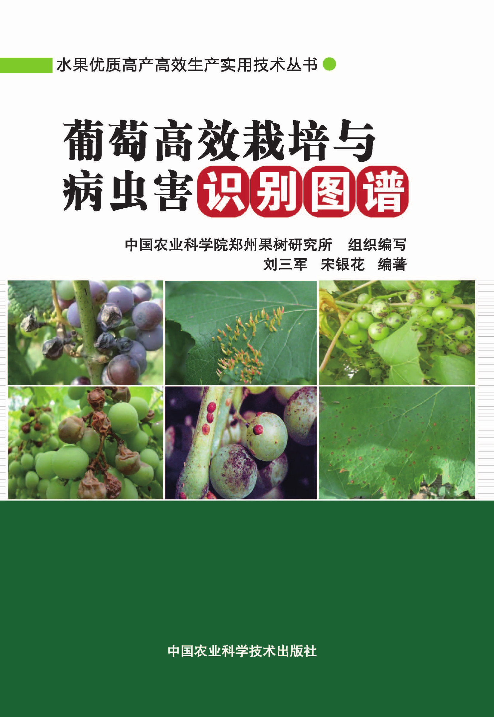 葡萄高效栽培与病虫害识别图谱